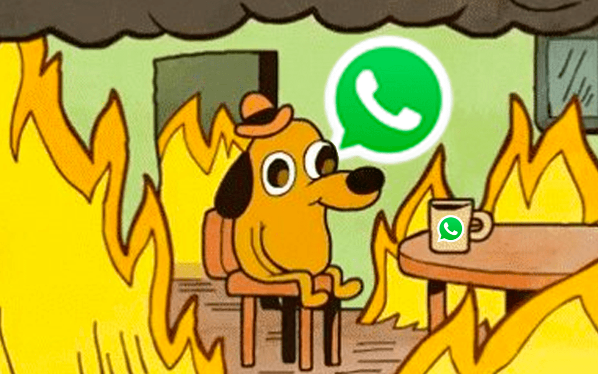 WhatsApp está desarrollando la función de "notas de vídeo" que te permitirán expresarte de una manera nunca antes vista junto a tus amigos, utilizando una cámara en mano.