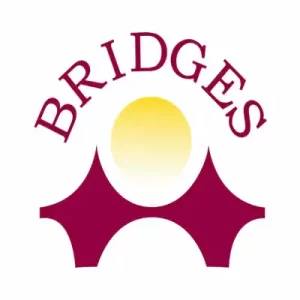 Instituto Bridges